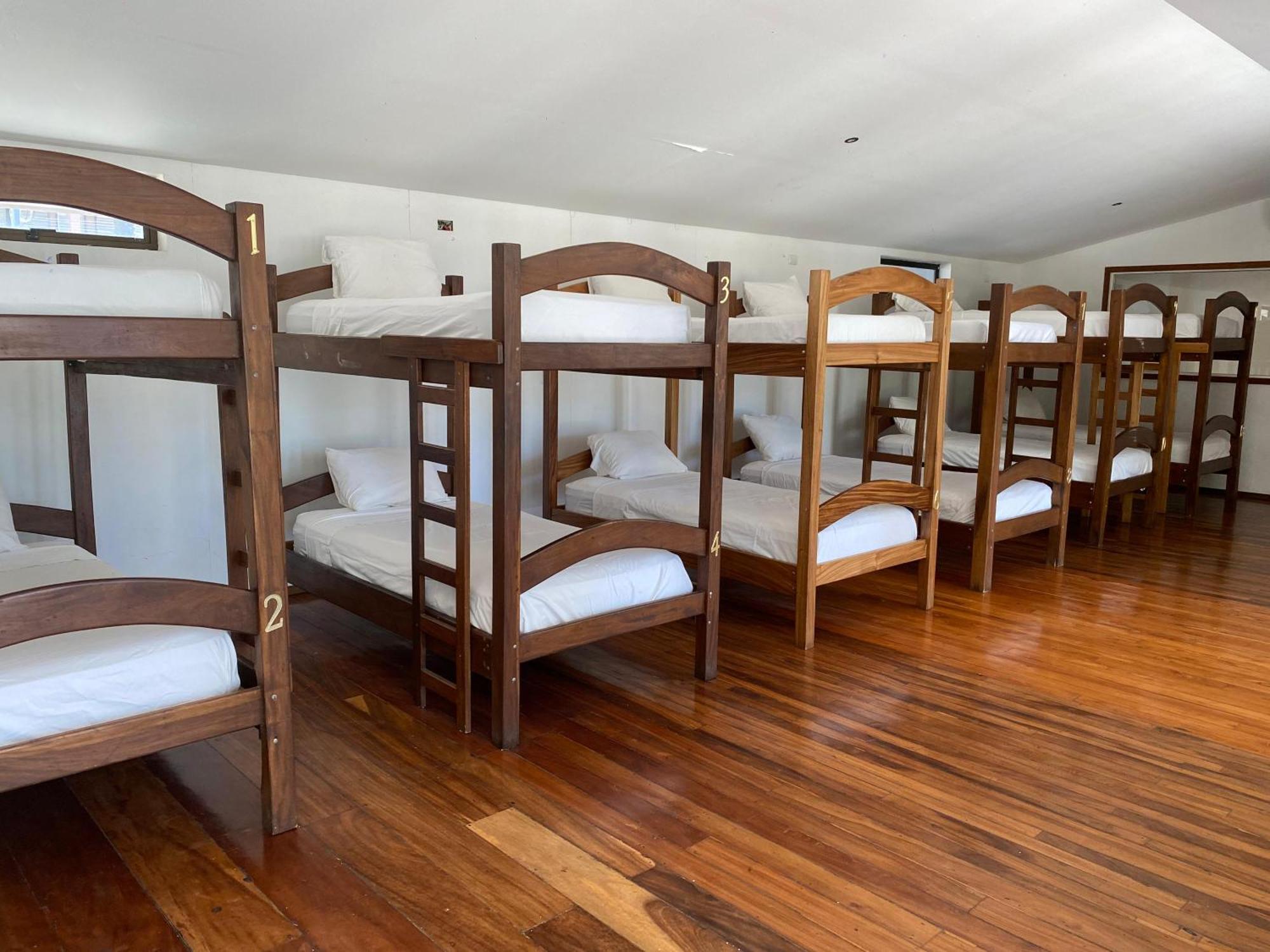 Casa Aura: Beachfront Premium Hostel Tamarindo Esterno foto